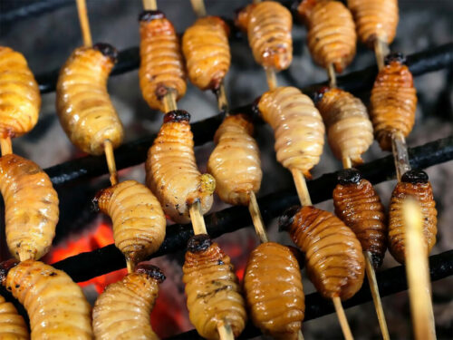 Anticucho de Suri